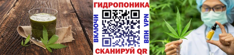Cannafood конопля  Купить где  Сатка 