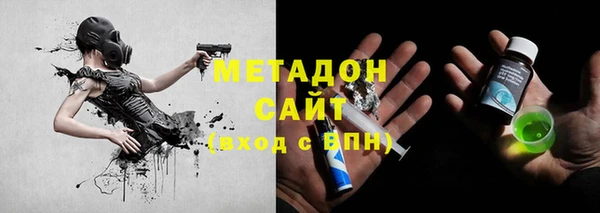 прущие грибы Алзамай