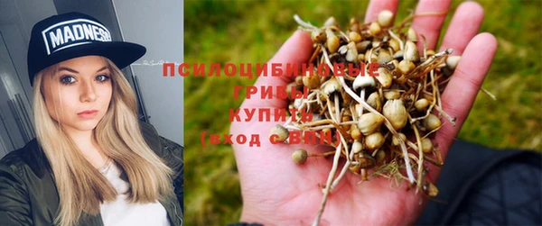 МДМА Алексеевка