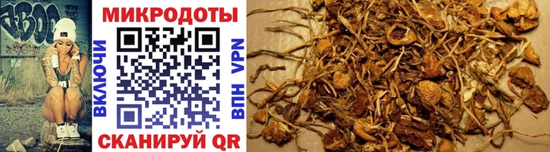 Купить  Сатка  Галлюциногенные грибы MAGIC MUSHROOMS 